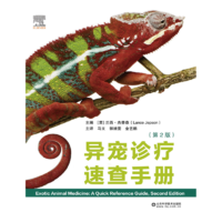 虚拟商品-单价2位小数 小型幼犬3KG